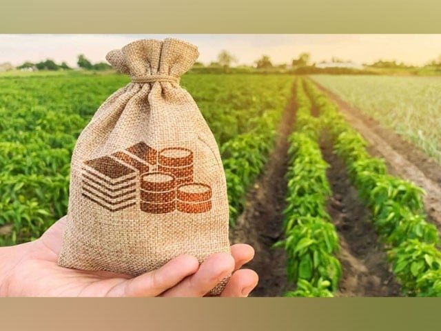 Read more about the article زرعی آمدن پریکم جولائی 2025 سے ٹیکس وصول کیا جائے گا، وفاقی وزیرخزانہ